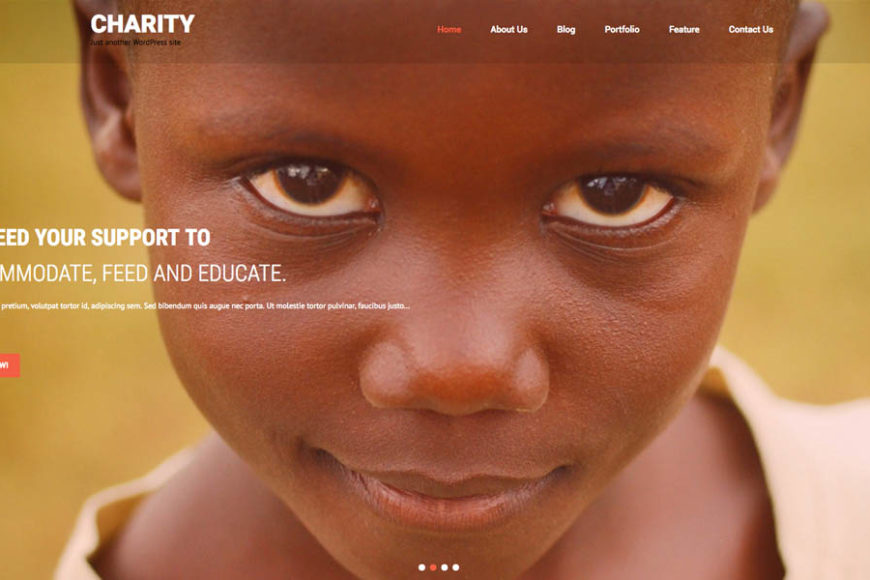 Free WordPress Charity Themes