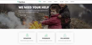 Download Charitus Non Profit Charity Website Bootstrap Template