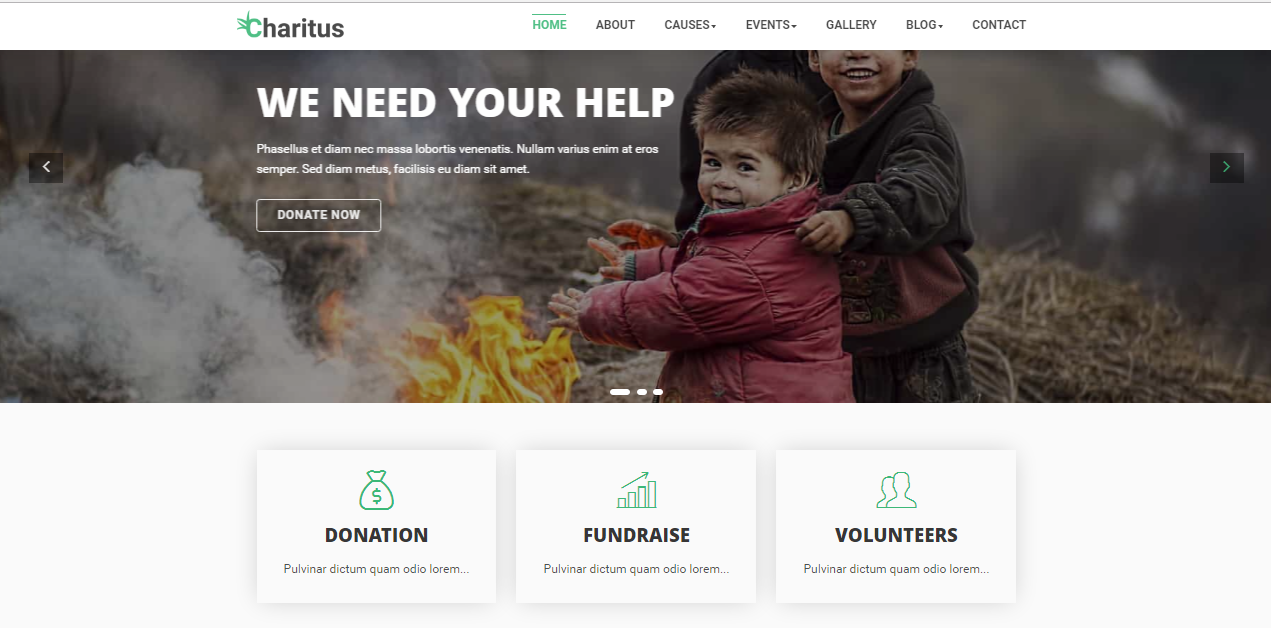 Download Charitus Non Profit Charity Website Bootstrap Template