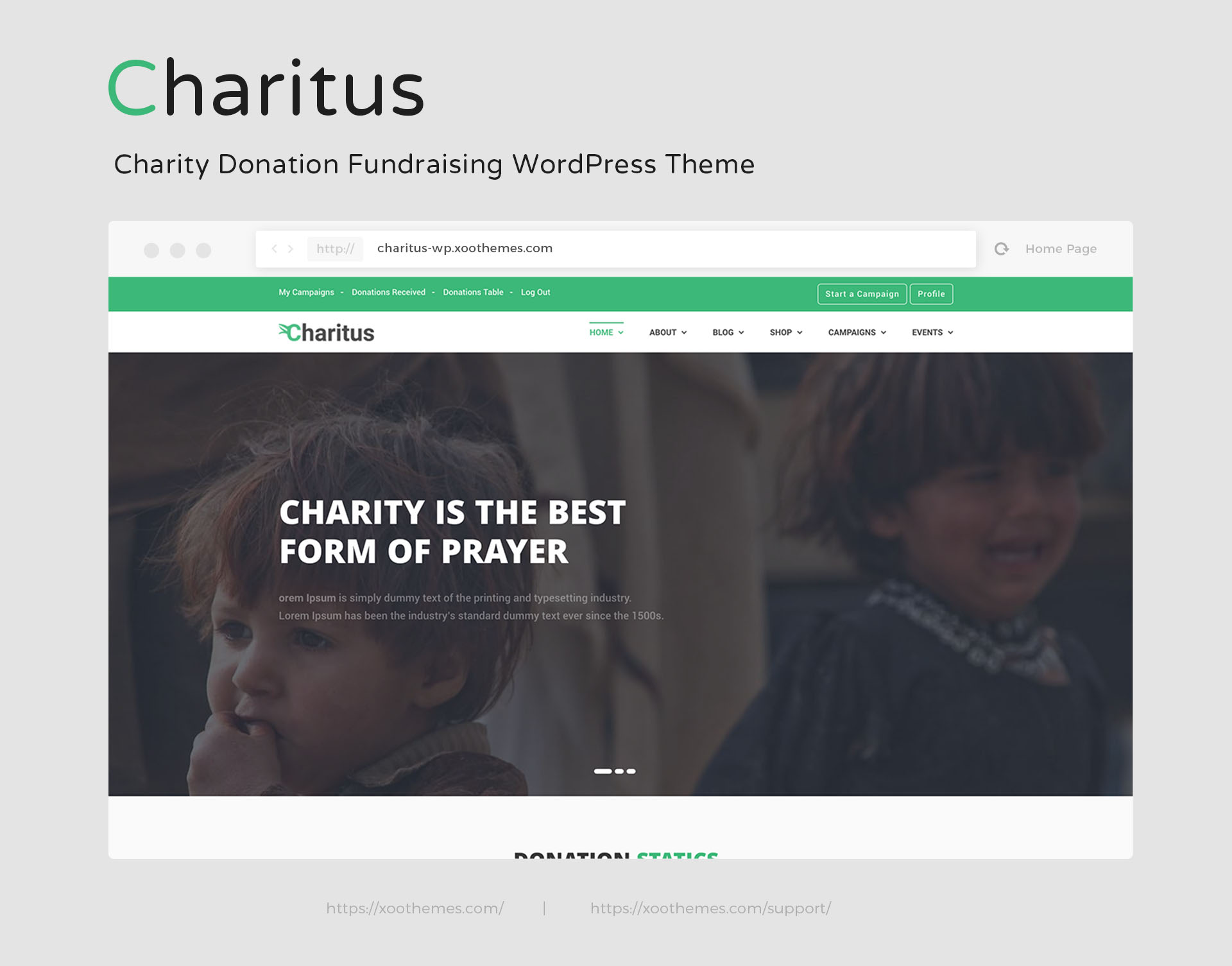 free wordpress charity themes
