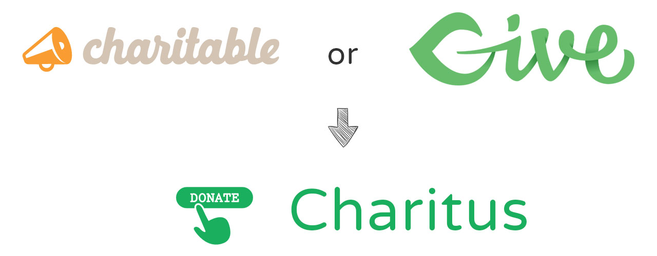 Charitus - Charity WordPress Theme with Donation System - 1